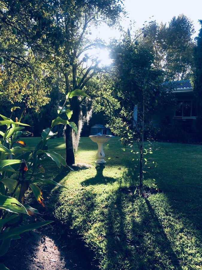 Bed and Breakfast Constantia Spring Exterior foto